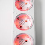 3800238070564 | Shelly Power Strip 4 Gen4 White - EAN 3800238070564 ELVHX - Image 3