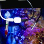 3800238072087 | Shelly Temp. Sensor DS18B20 3.5mm jack - EAN 3800238072087 ELVHX - Image 3
